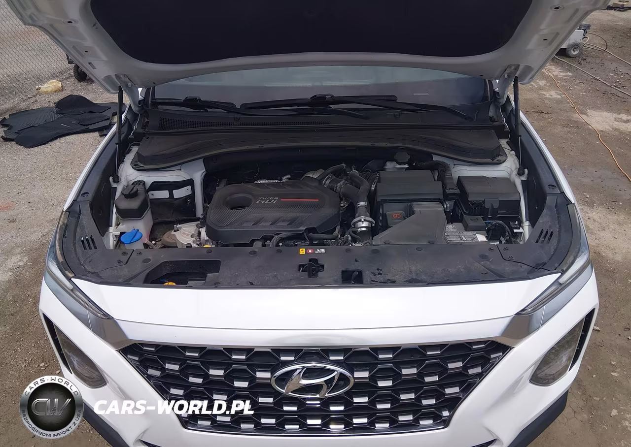 2020 Hyundai Santa Fe Sel 2.0T VIN:5NMS3CAA6LH299989 - 10