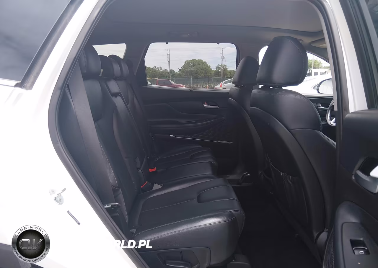 2020 Hyundai Santa Fe Sel 2.0T VIN:5NMS3CAA6LH299989 - 8