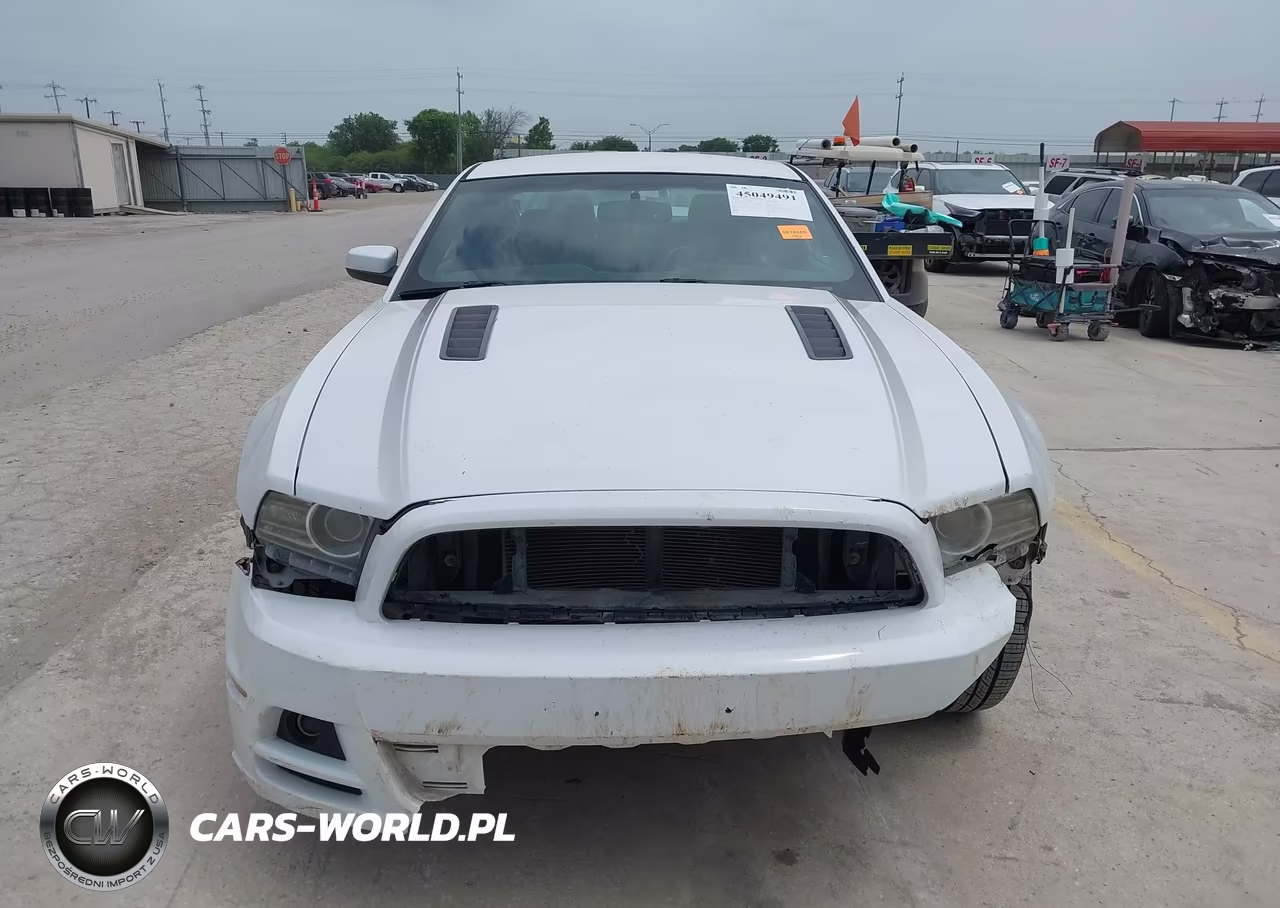 2014 Ford Mustang Gt Premium VIN:1ZVBP8CF1E5204459 - 13