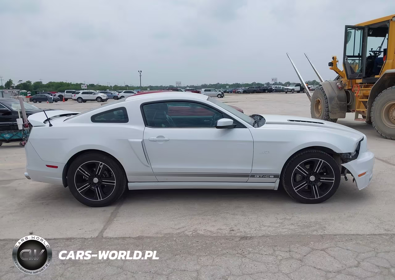 2014 Ford Mustang Gt Premium VIN:1ZVBP8CF1E5204459 - 14