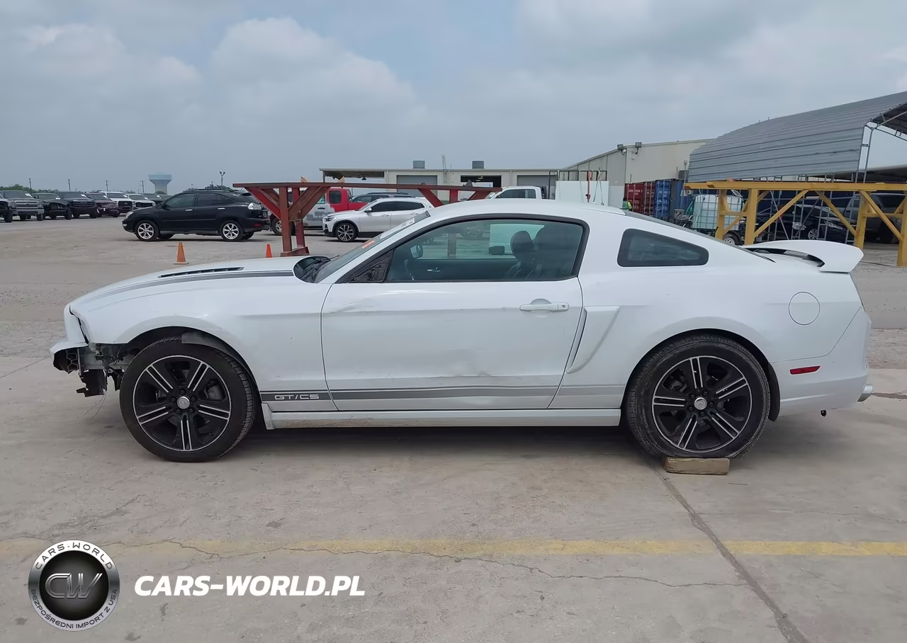 2014 Ford Mustang Gt Premium VIN:1ZVBP8CF1E5204459 - 15