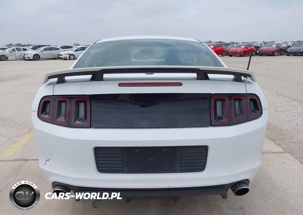 2014 Ford Mustang Gt Premium VIN:1ZVBP8CF1E5204459 - 17