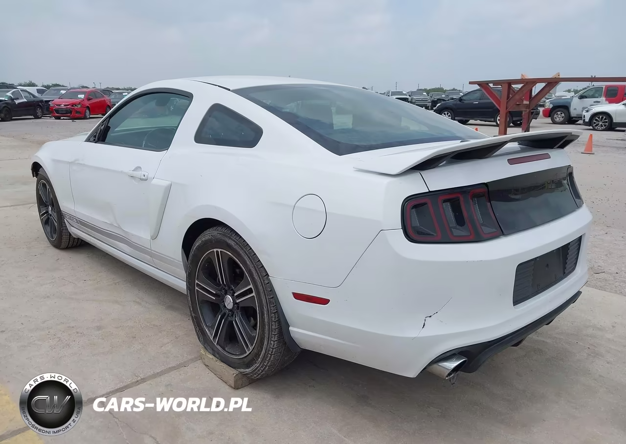 2014 Ford Mustang Gt Premium VIN:1ZVBP8CF1E5204459 - 3