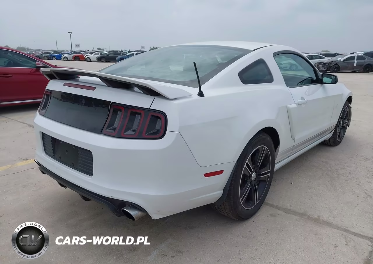2014 Ford Mustang Gt Premium VIN:1ZVBP8CF1E5204459 - 4