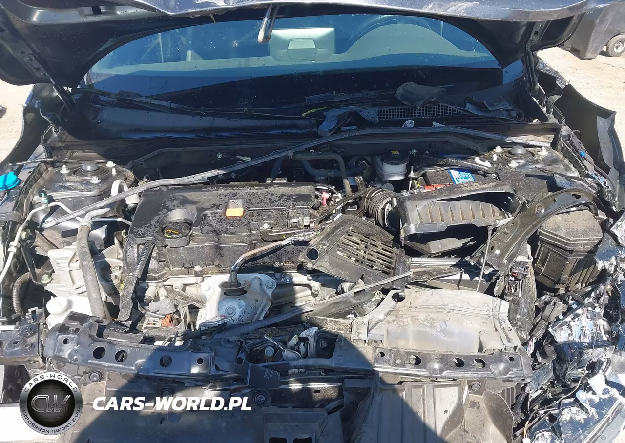 2024 Honda Civic Sport VIN:2HGFE2F59RH538815 - 10
