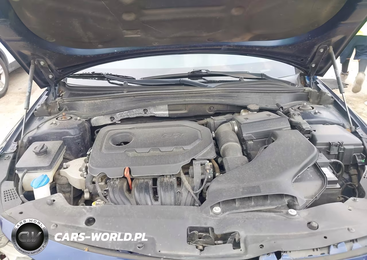 KIA OPTIMA LX VIN:5XXGT4L39LG383068 - 10
