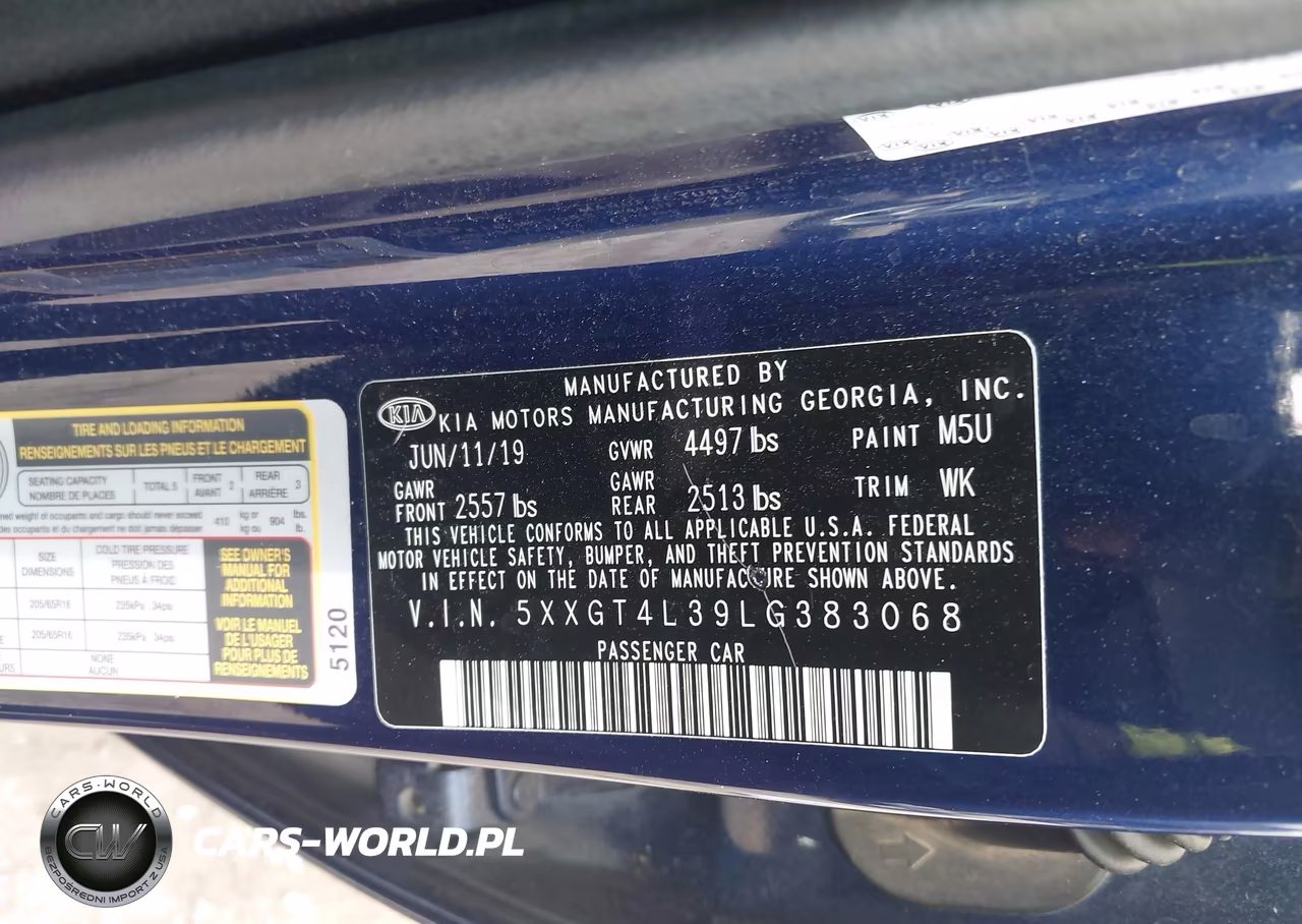 KIA OPTIMA LX VIN:5XXGT4L39LG383068 - 9