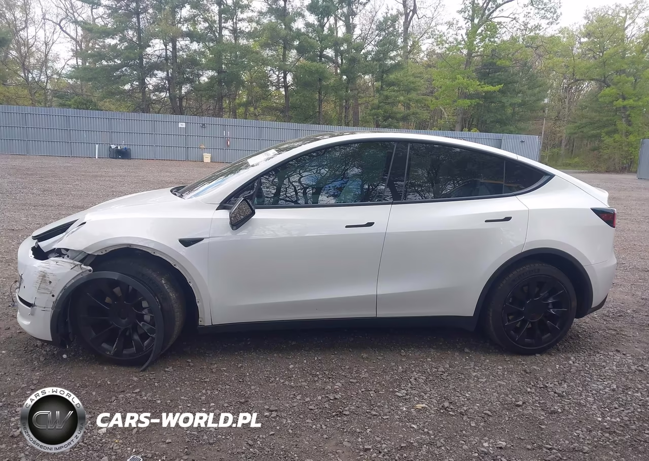 2020 Tesla Model Y Long Range Dual Motor All-Wheel Drive VIN:5YJYGDEE4LF048908 - 14