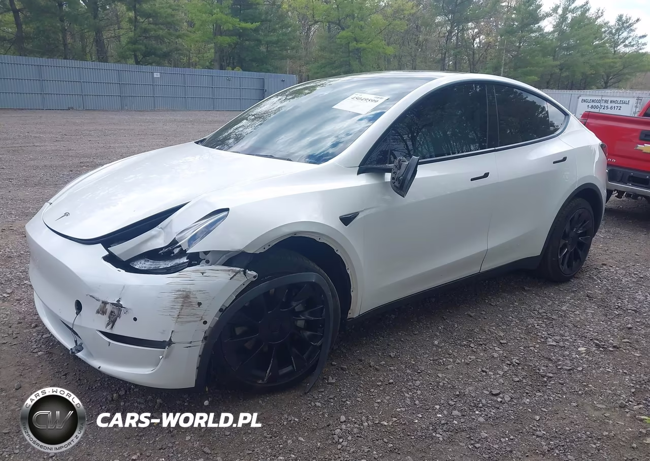 2020 Tesla Model Y Long Range Dual Motor All-Wheel Drive VIN:5YJYGDEE4LF048908 - 2