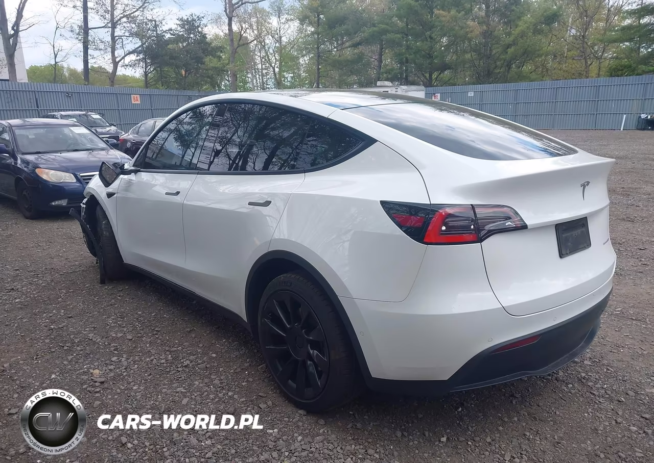 2020 Tesla Model Y Long Range Dual Motor All-Wheel Drive VIN:5YJYGDEE4LF048908 - 3
