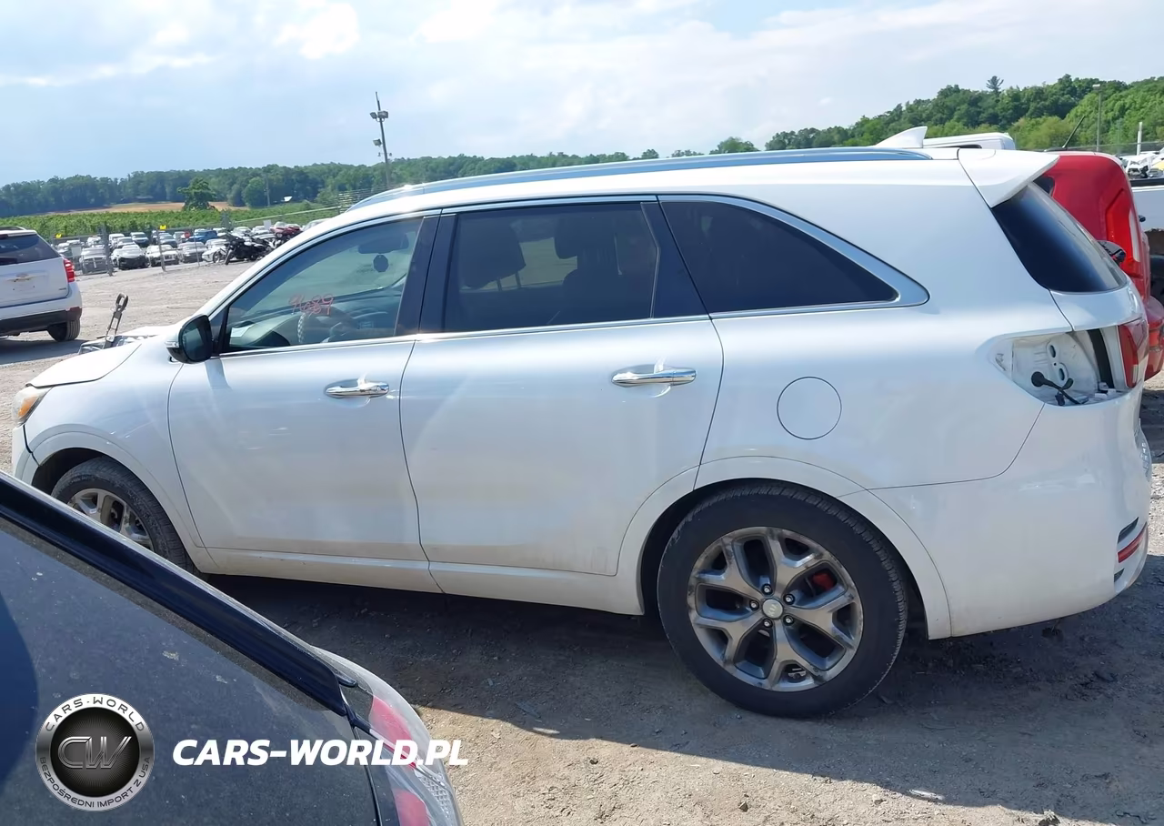 2017 Kia Sorento 3.3L Sx VIN:5XYPK4A52HG304060 - 14