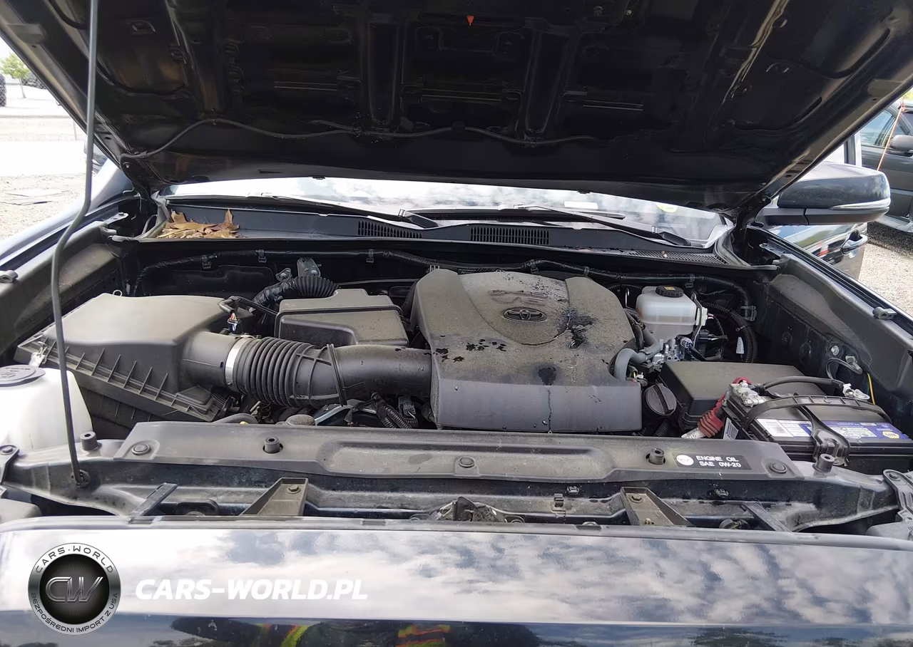 2019 Toyota Tacoma Trd Sport VIN:5TFCZ5AN1KX175748 - 10