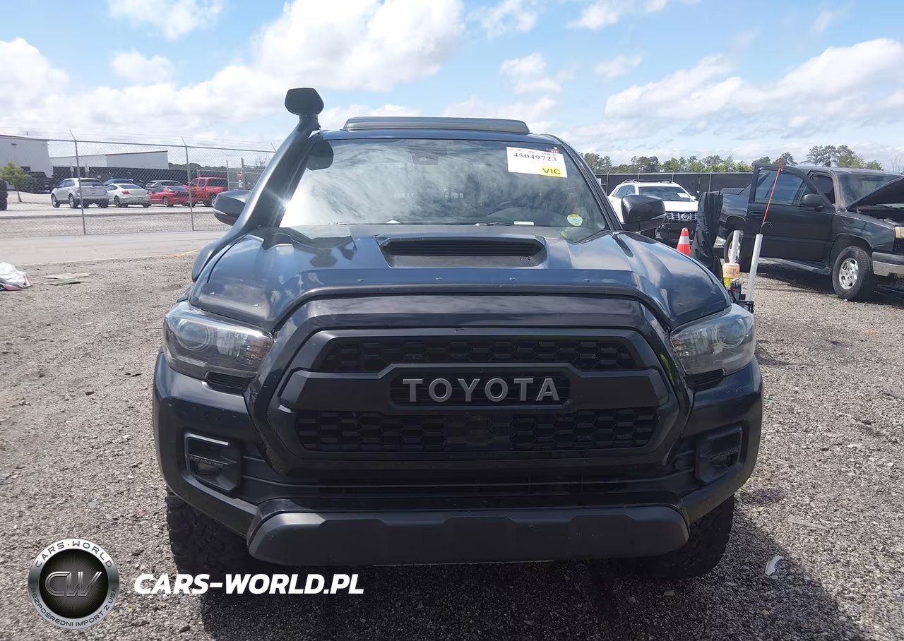2019 Toyota Tacoma Trd Sport VIN:5TFCZ5AN1KX175748 - 13