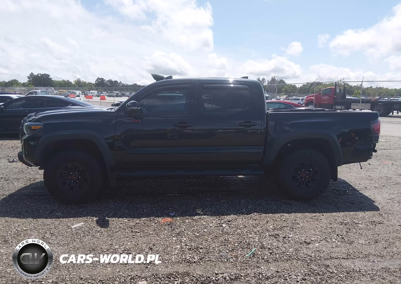 2019 Toyota Tacoma Trd Sport VIN:5TFCZ5AN1KX175748 - 15