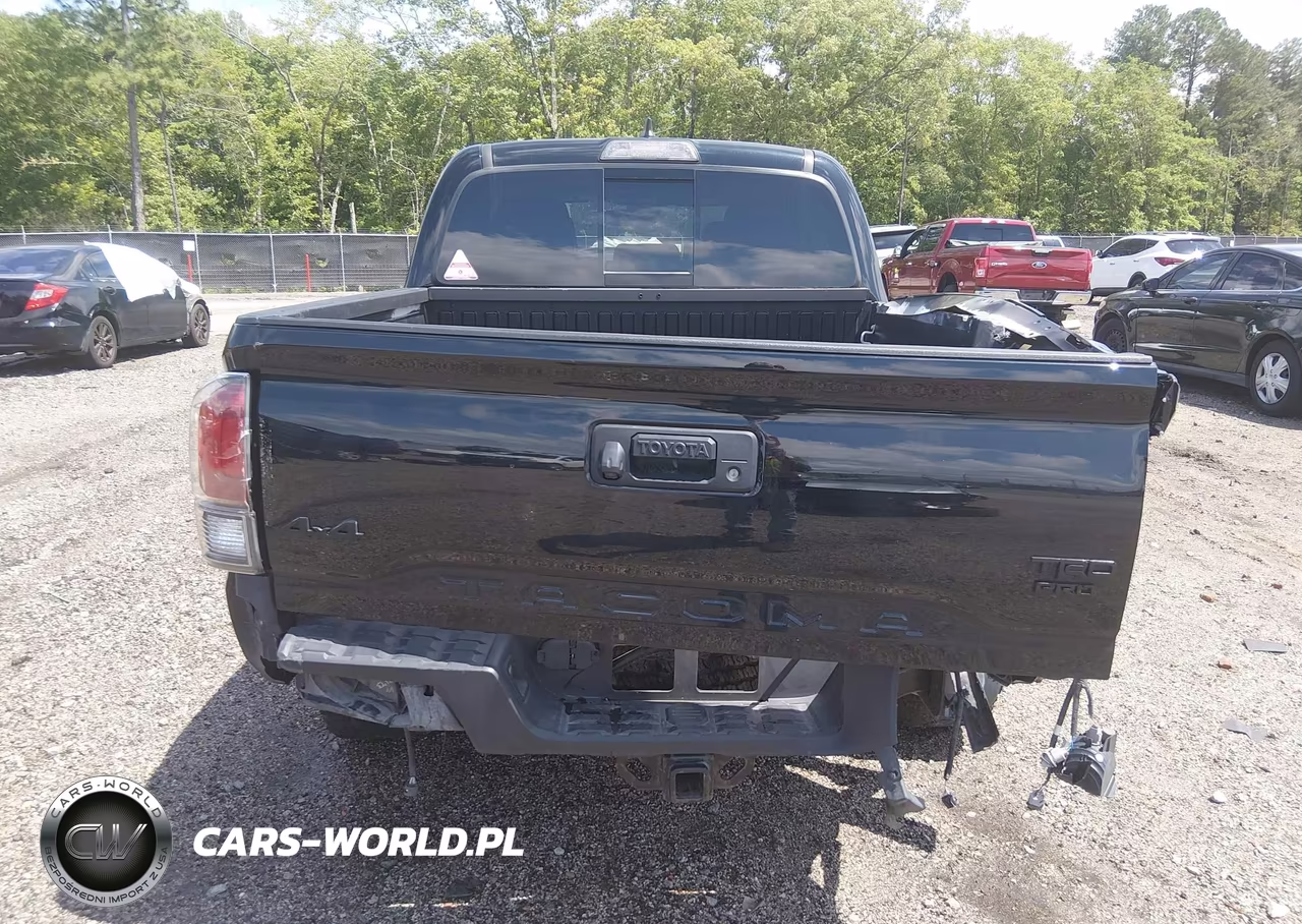 2019 Toyota Tacoma Trd Sport VIN:5TFCZ5AN1KX175748 - 17