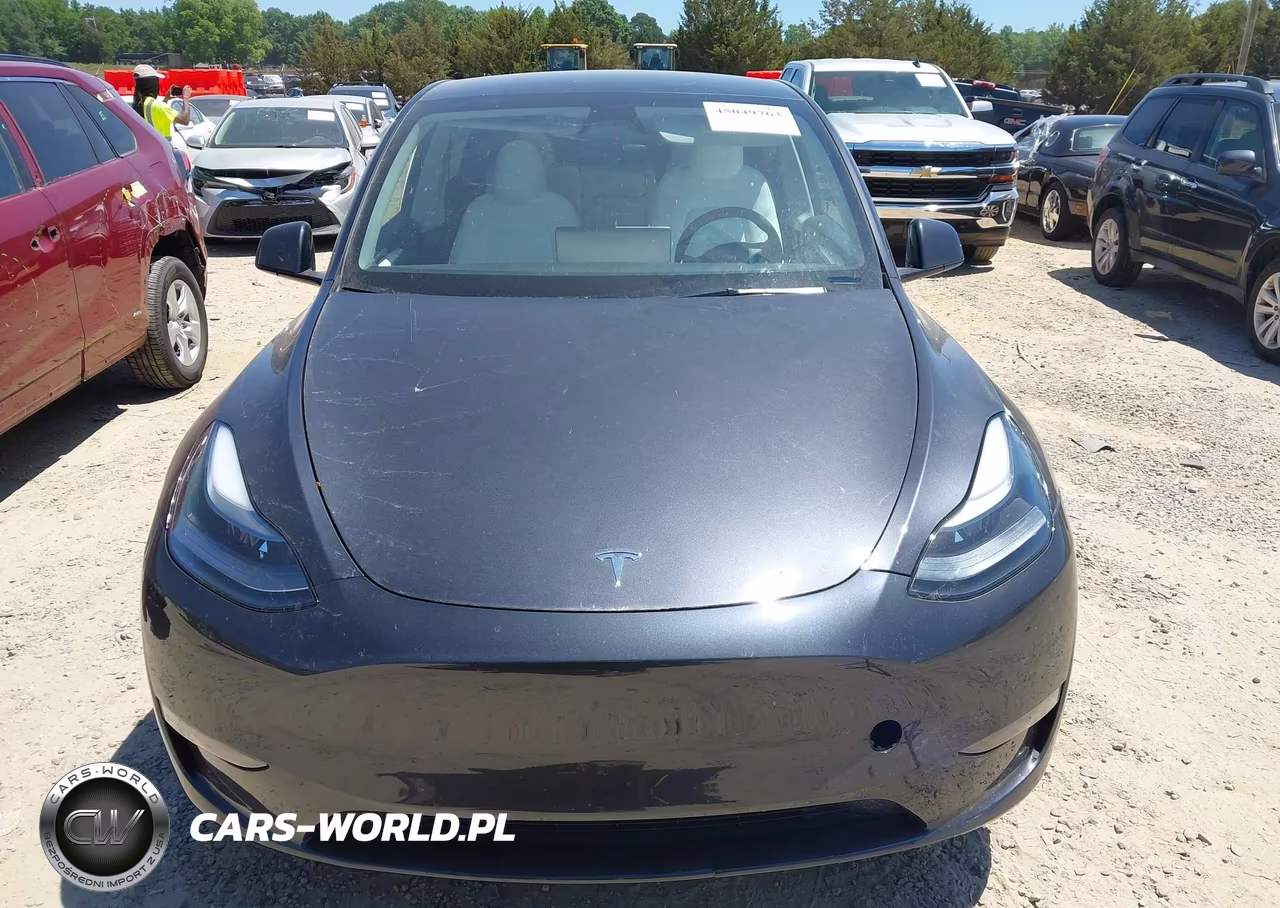 2025 Tesla Model Y Long Range Dual Motor All-Wheel Drive VIN:7SAYGAEE4SF230737 - 12