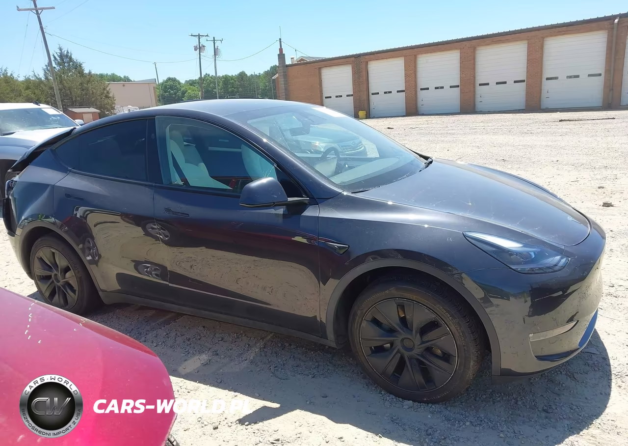 2025 Tesla Model Y Long Range Dual Motor All-Wheel Drive VIN:7SAYGAEE4SF230737 - 13