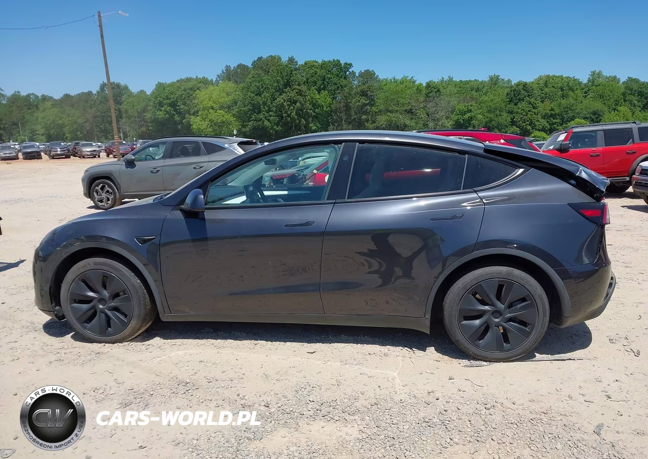 2025 Tesla Model Y Long Range Dual Motor All-Wheel Drive VIN:7SAYGAEE4SF230737 - 14