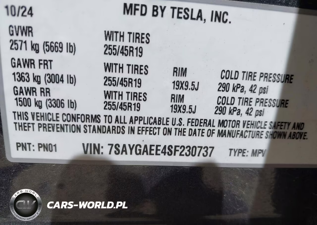 2025 Tesla Model Y Long Range Dual Motor All-Wheel Drive VIN:7SAYGAEE4SF230737 - 9