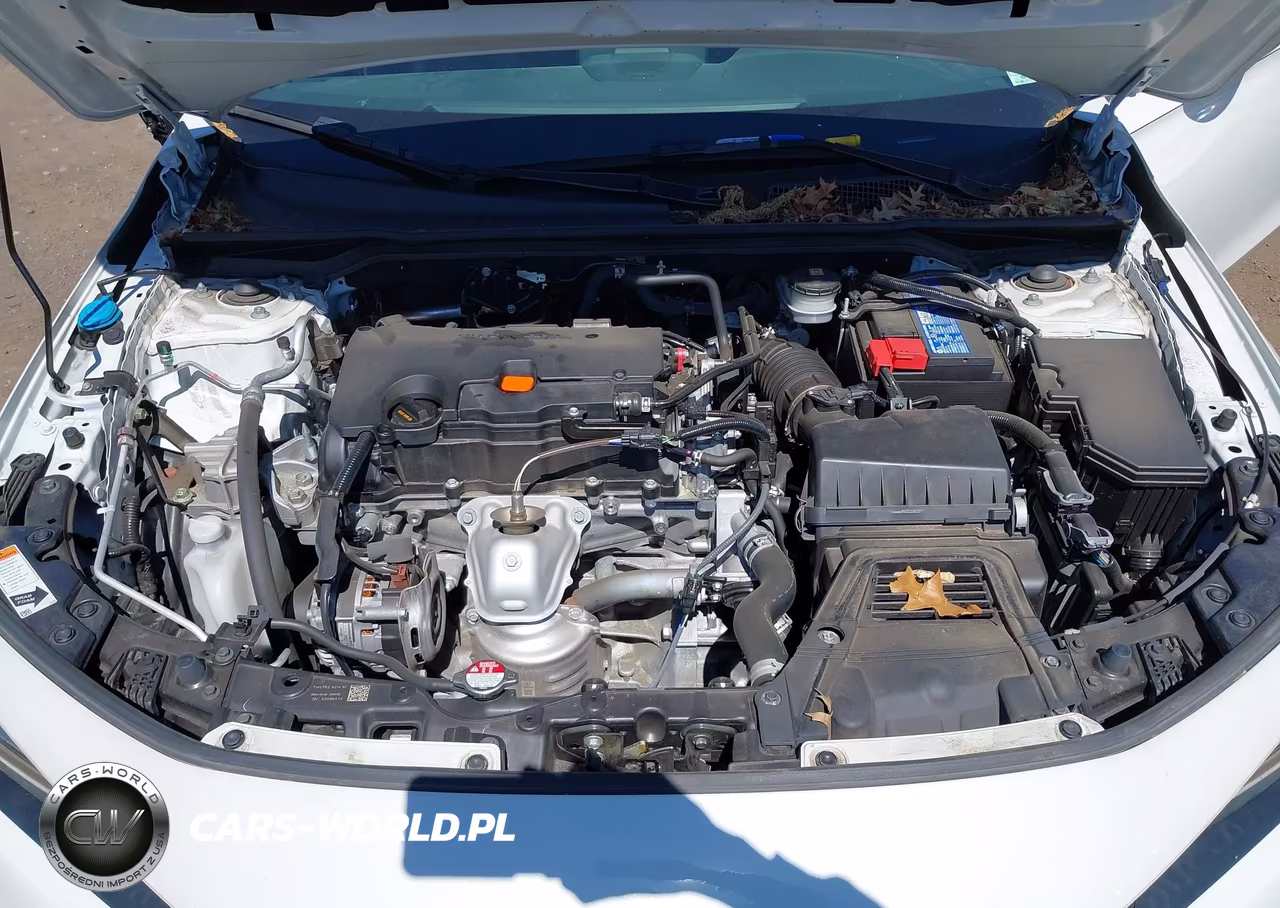 2024 Honda Civic Sport VIN:2HGFE2F55RH549343 - 10