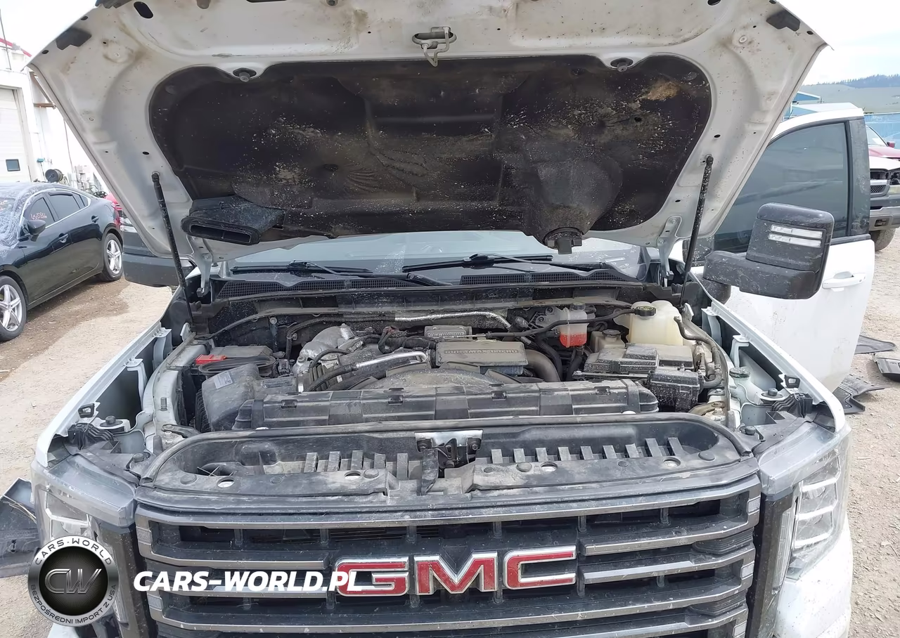 2021 GMC Sierra 2500Hd At4 VIN:1GT19PEY8MF190697 - 10