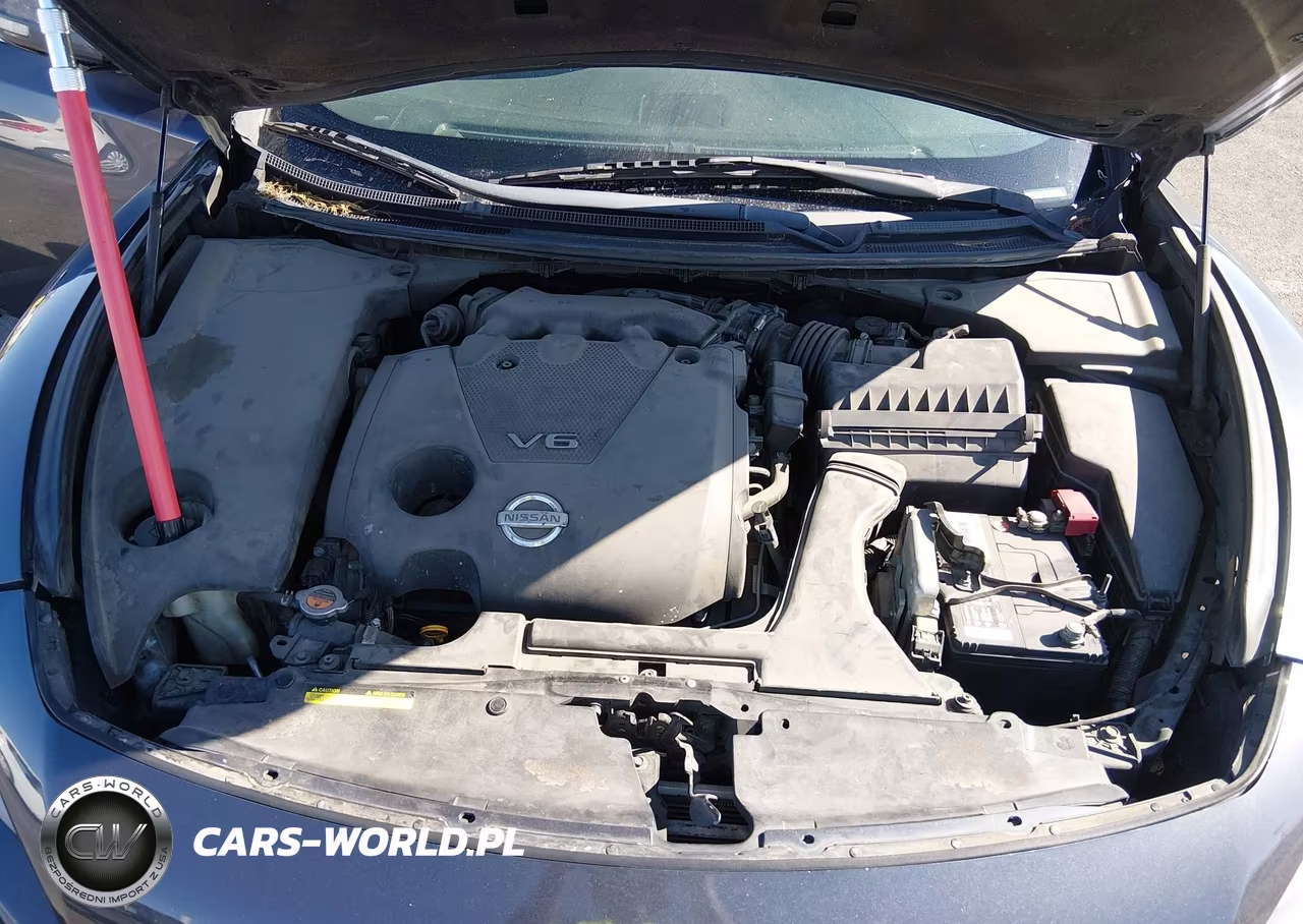 2010 Nissan Maxima 3.5 Sv VIN:1N4AA5AP1AC838280 - 10