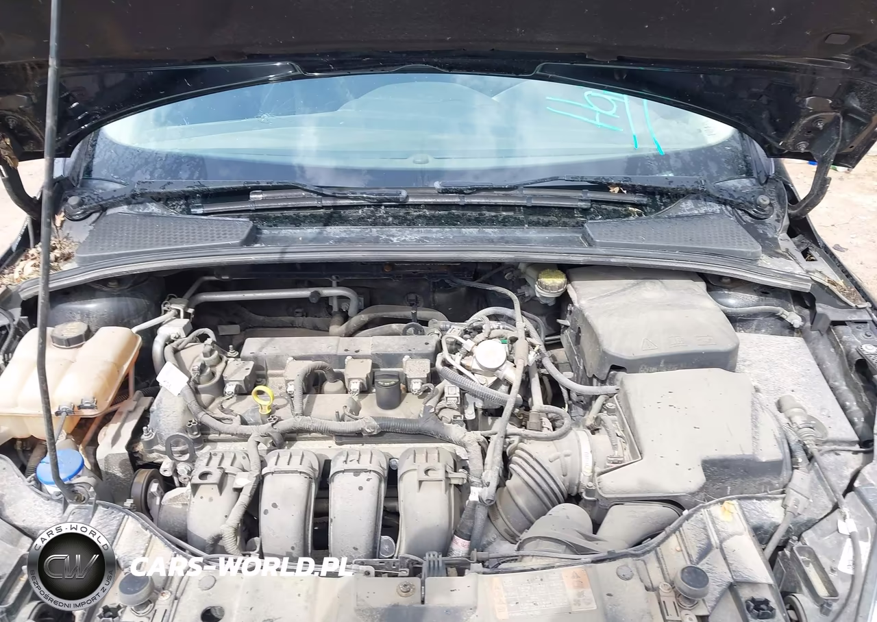 2016 Ford Focus Se VIN:1FADP3F24GL379882 - 10