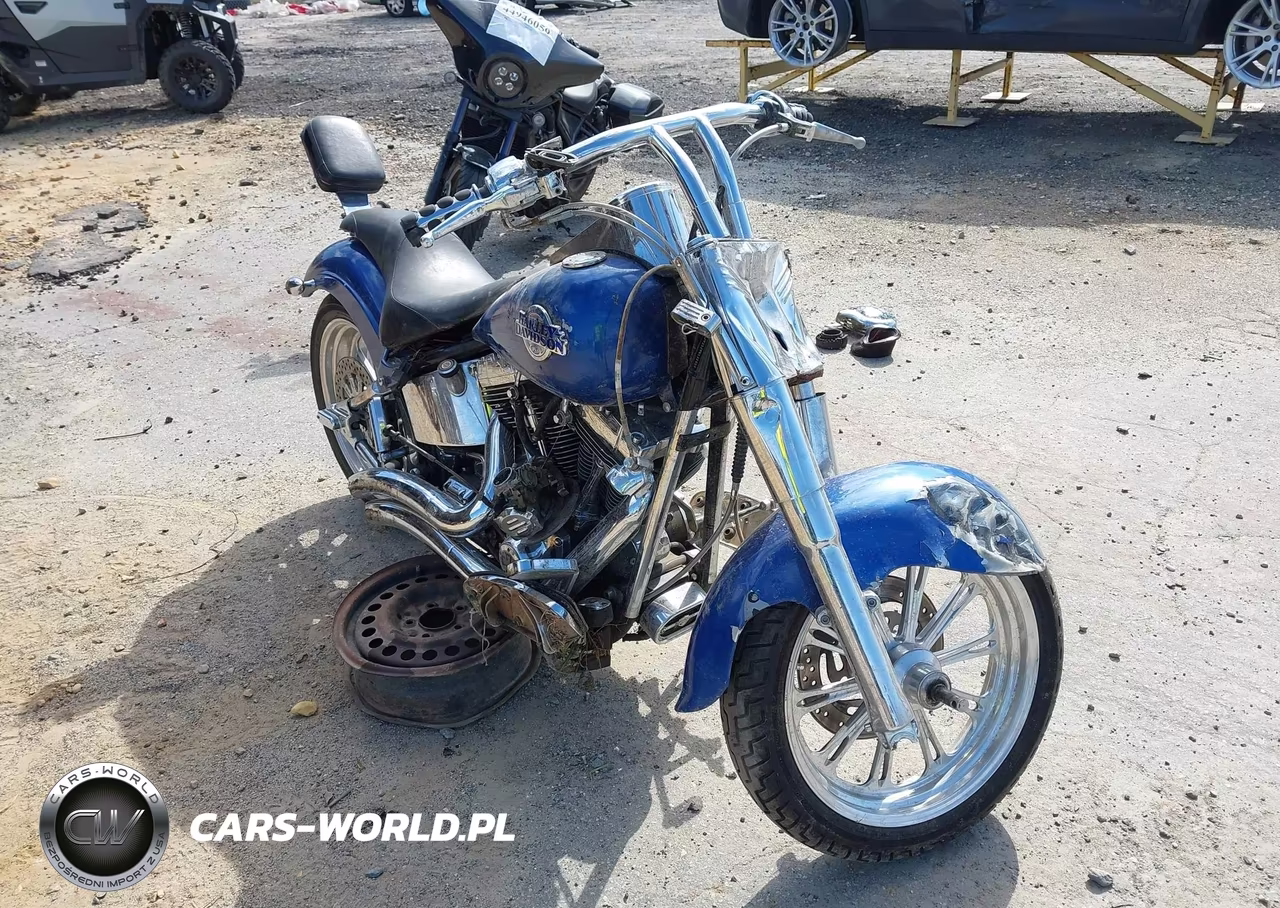2001 Harley-Davidson Flstc