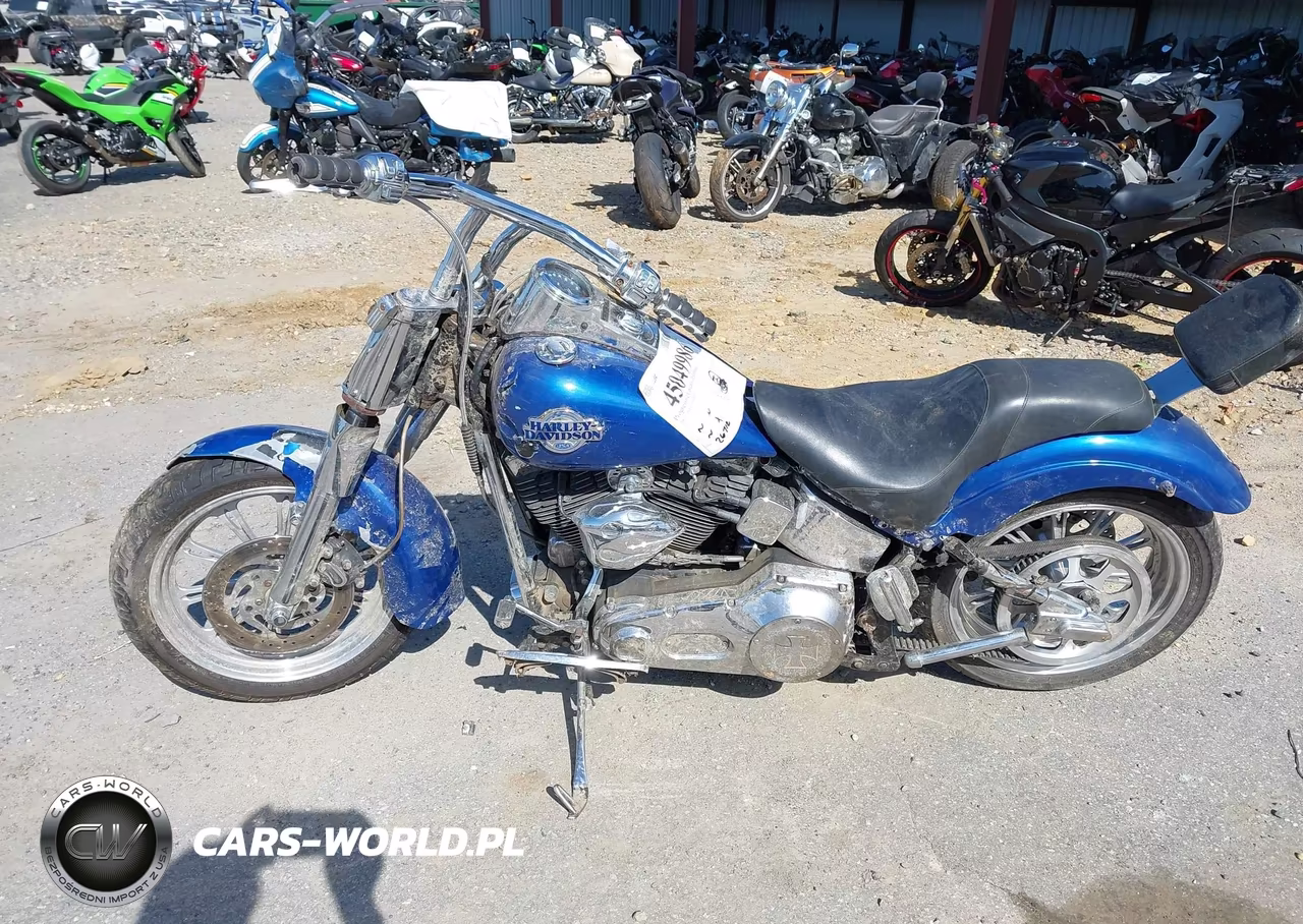 2001 Harley-Davidson Flstc VIN:1HD1BJY131Y021203 - 16