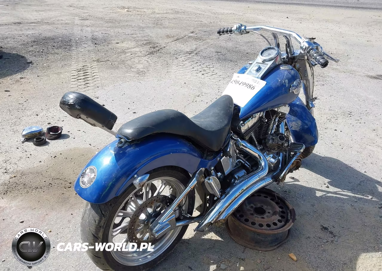2001 Harley-Davidson Flstc VIN:1HD1BJY131Y021203 - 4