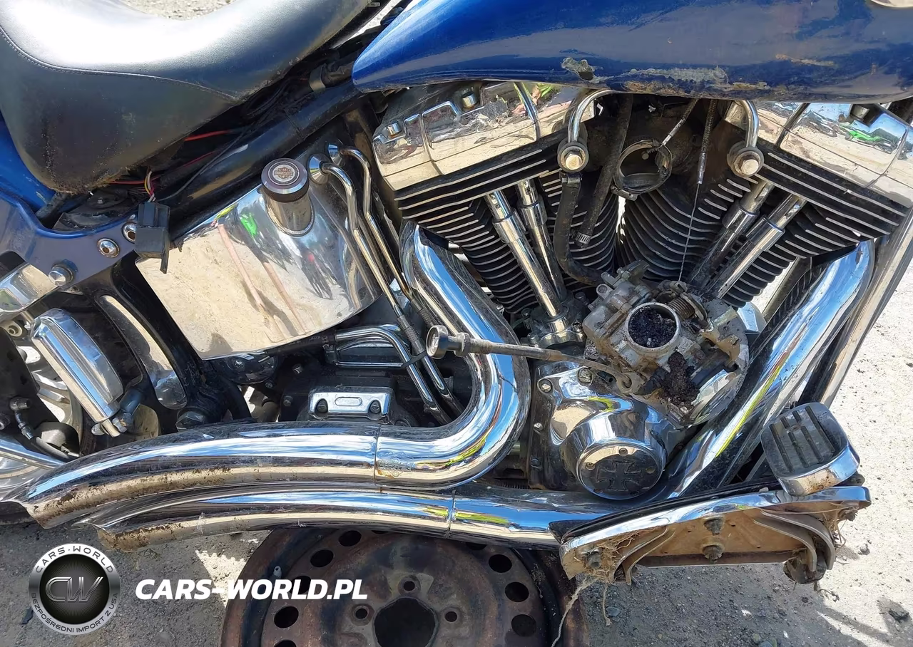 2001 Harley-Davidson Flstc VIN:1HD1BJY131Y021203 - 8