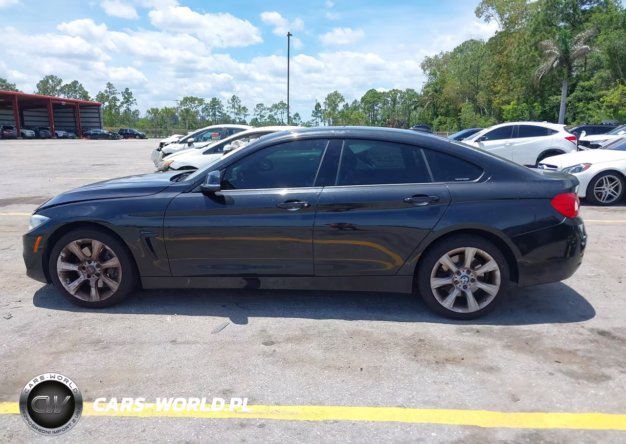 2015 BMW 435I Gran Coupe xDrive VIN:WBA4B3C54FGV48987 - 14
