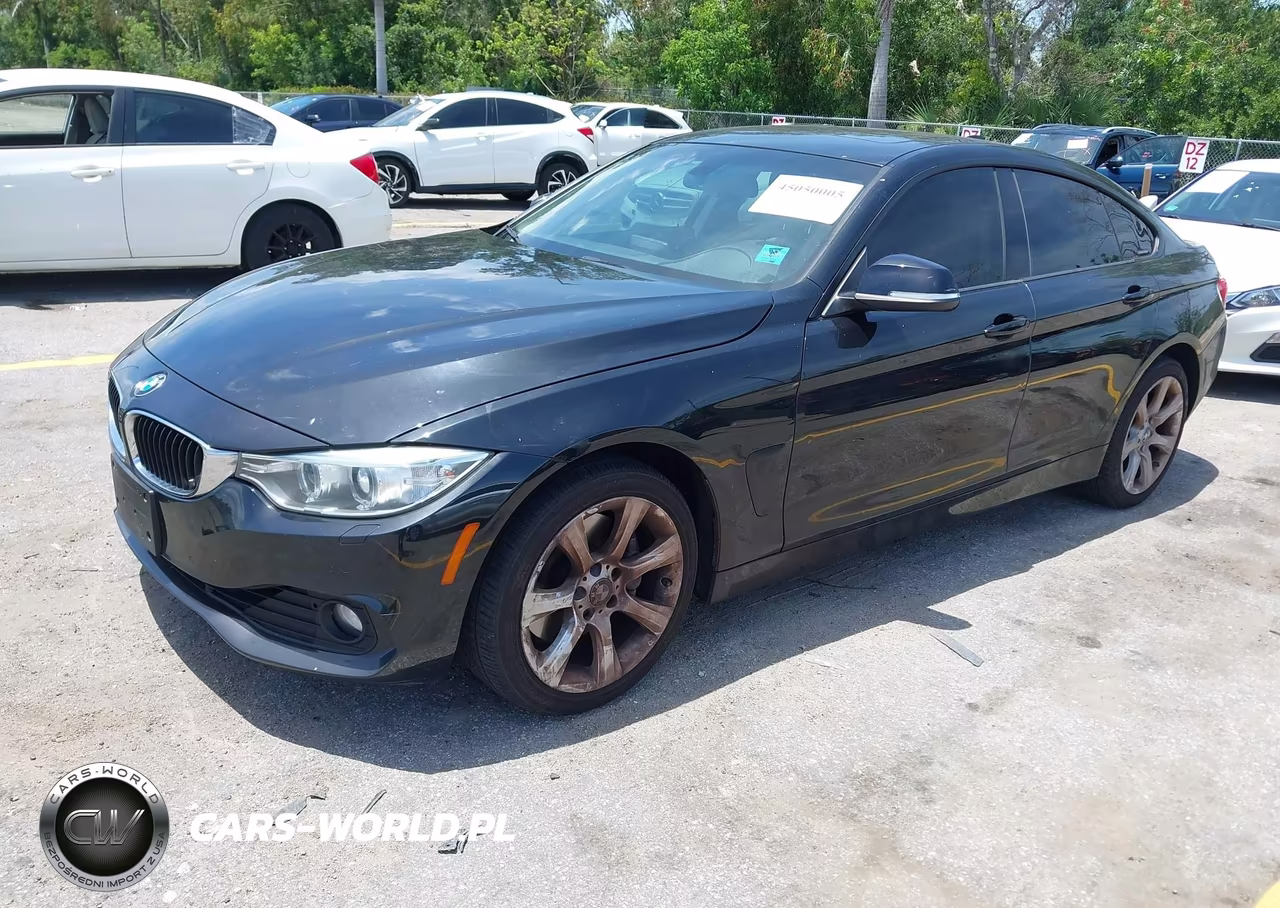2015 BMW 435I Gran Coupe xDrive VIN:WBA4B3C54FGV48987 - 2
