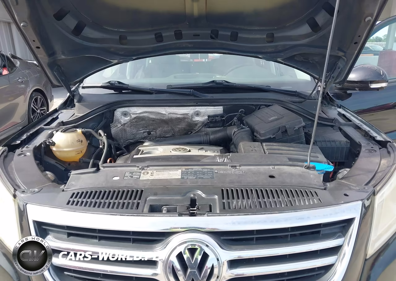 2011 Volkswagen Tiguan S VIN:WVGBV7AX8BW506377 - 10