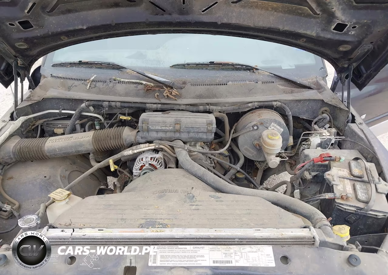 1999 Dodge Ram 1500 St-Ws VIN:1B7HC16X3XS119678 - 10