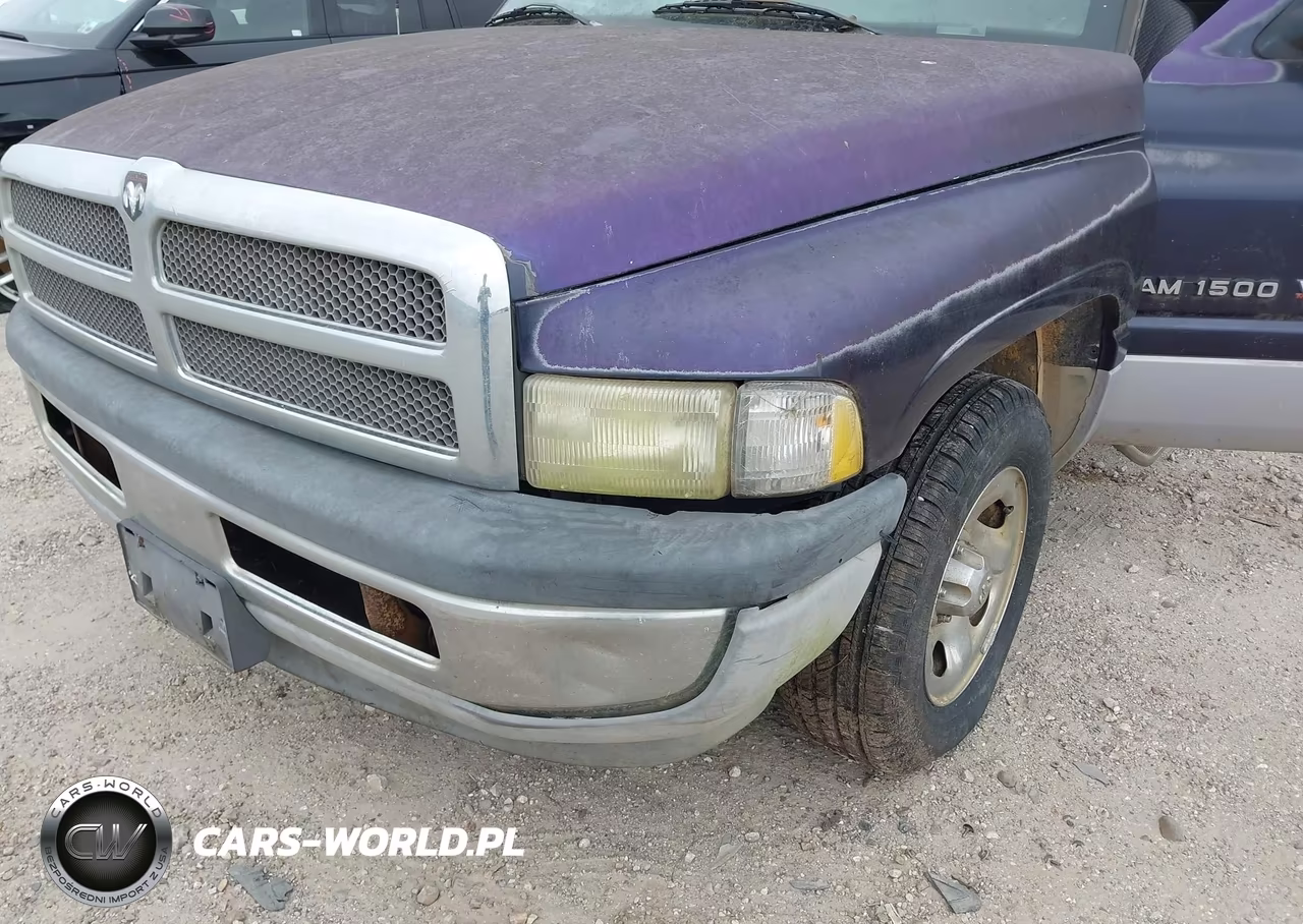 1999 Dodge Ram 1500 St-Ws VIN:1B7HC16X3XS119678 - 12