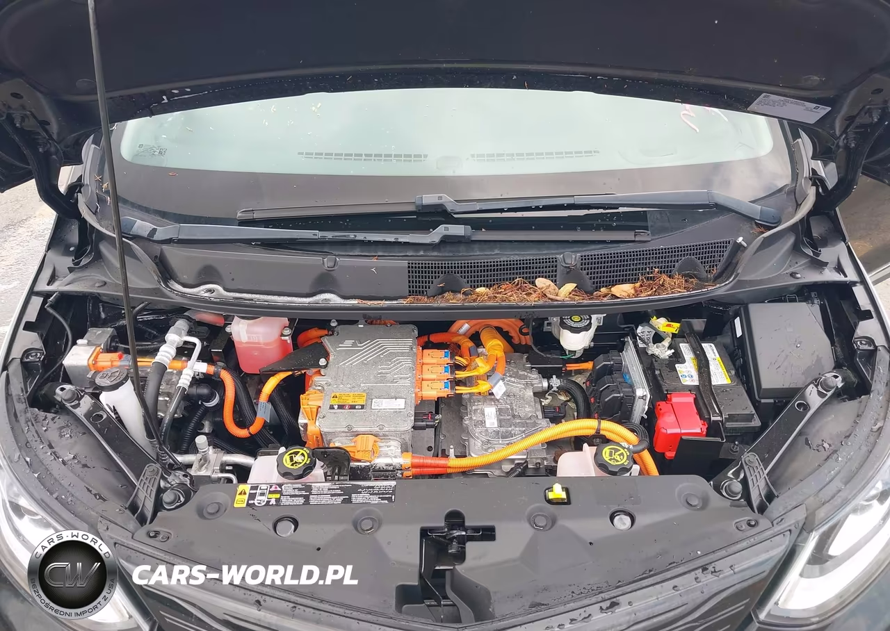 2021 Chevrolet Bolt Ev Fwd Premier VIN:1G1FZ6S00M4101417 - 10