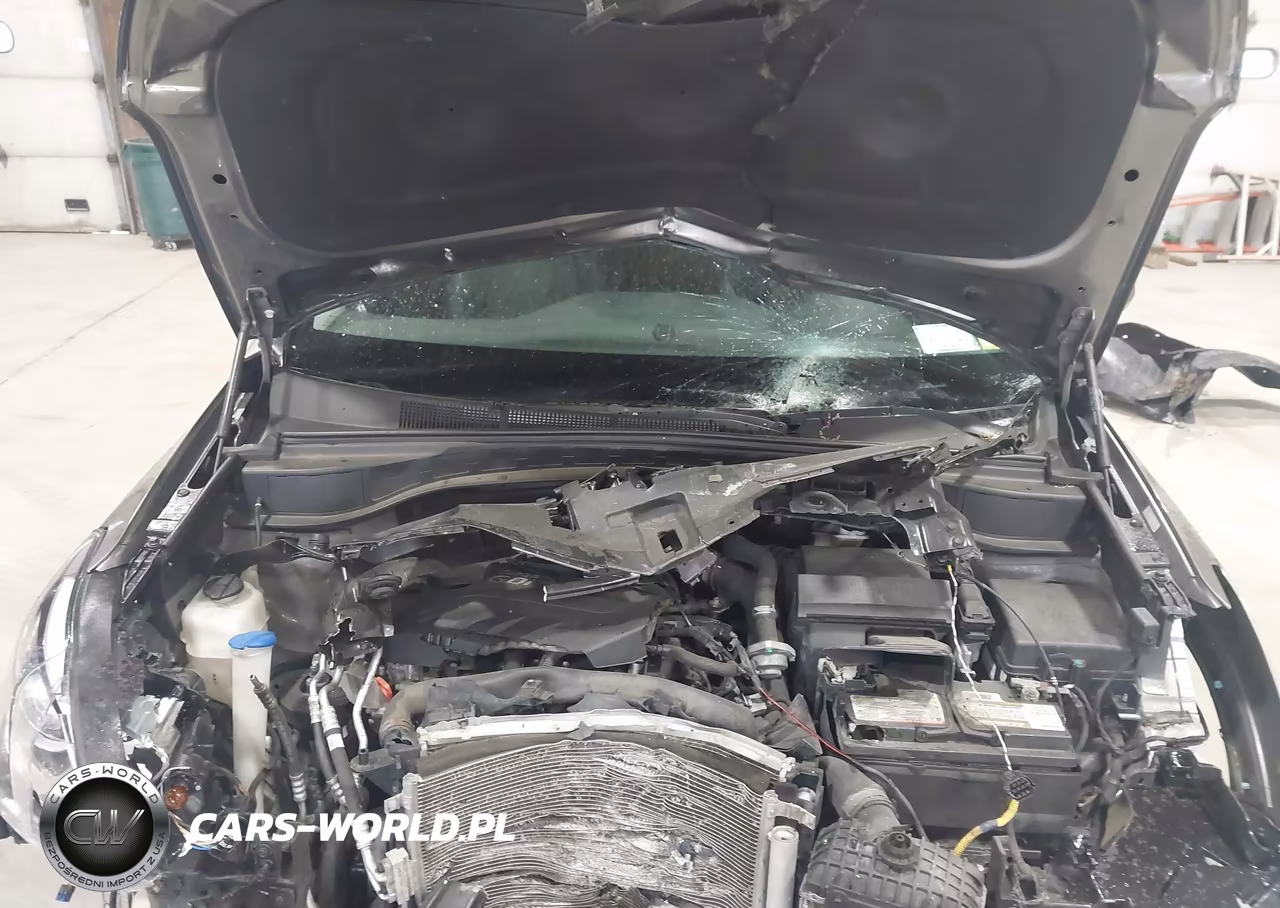 2017 Hyundai Santa Fe Sport 2.0T Ultimate VIN:5XYZWDLA0HG477437 - 10