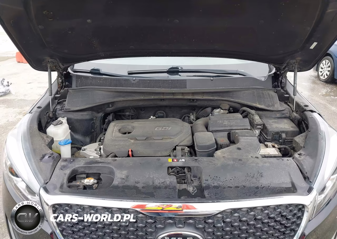 2018 Kia Sorento 2.4L Lx VIN:5XYPG4A3XJG341489 - 10