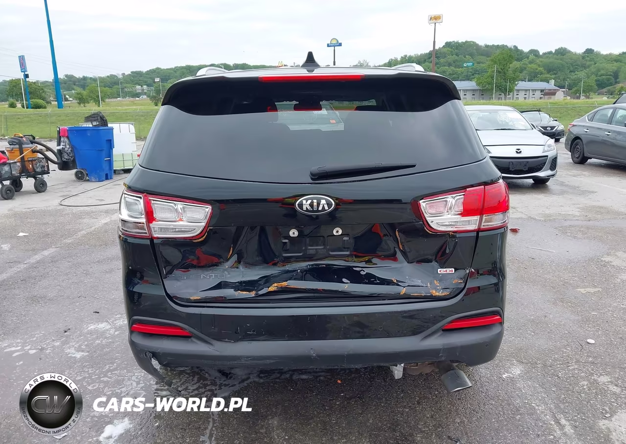 2018 Kia Sorento 2.4L Lx VIN:5XYPG4A3XJG341489 - 16