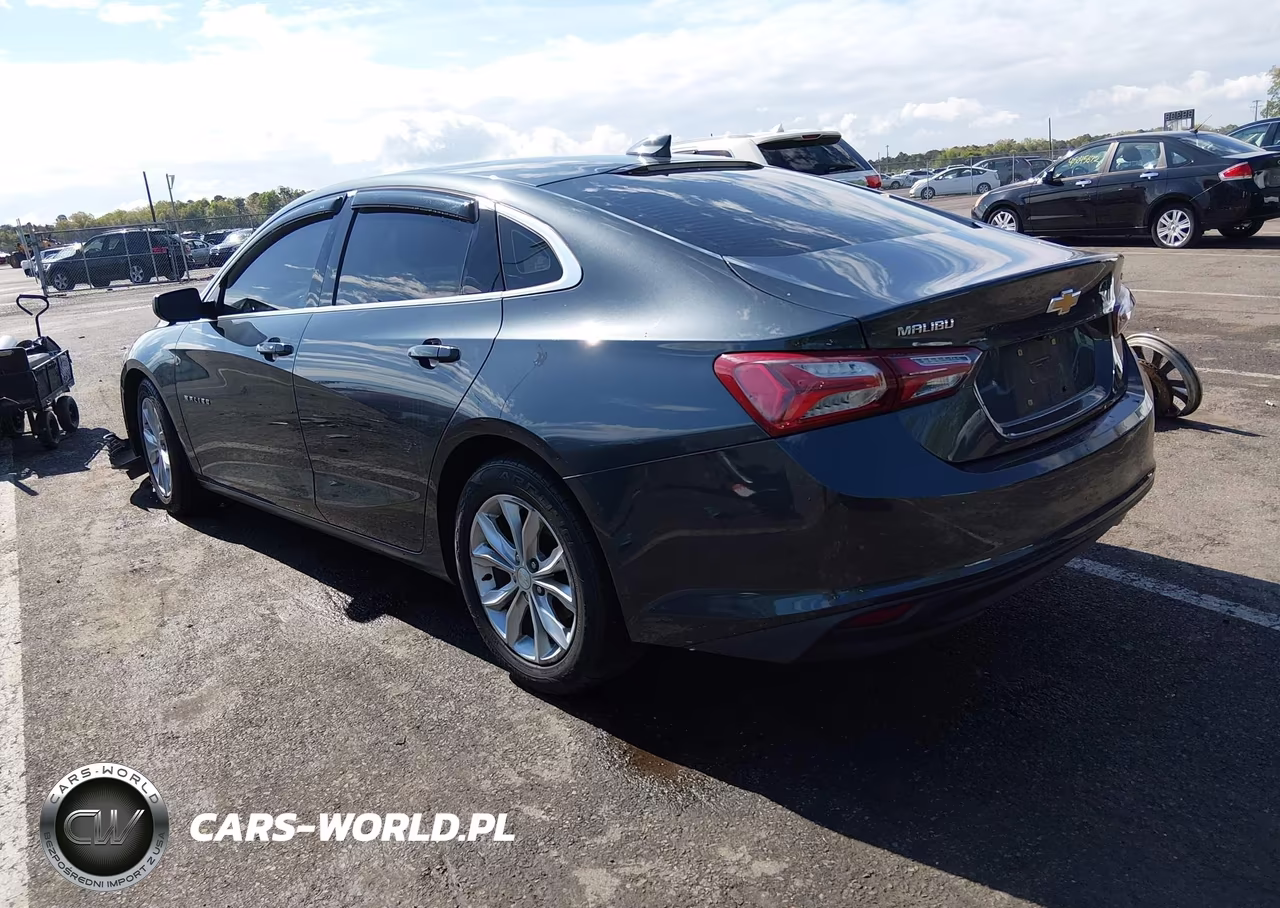 2019 Chevrolet Malibu Lt VIN:1G1ZD5ST9KF140704 - 3