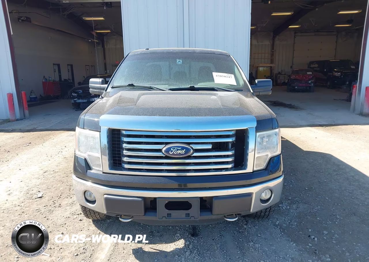 2011 Ford F-150 Xlt VIN:1FTFX1EF4BKD14993 - 12