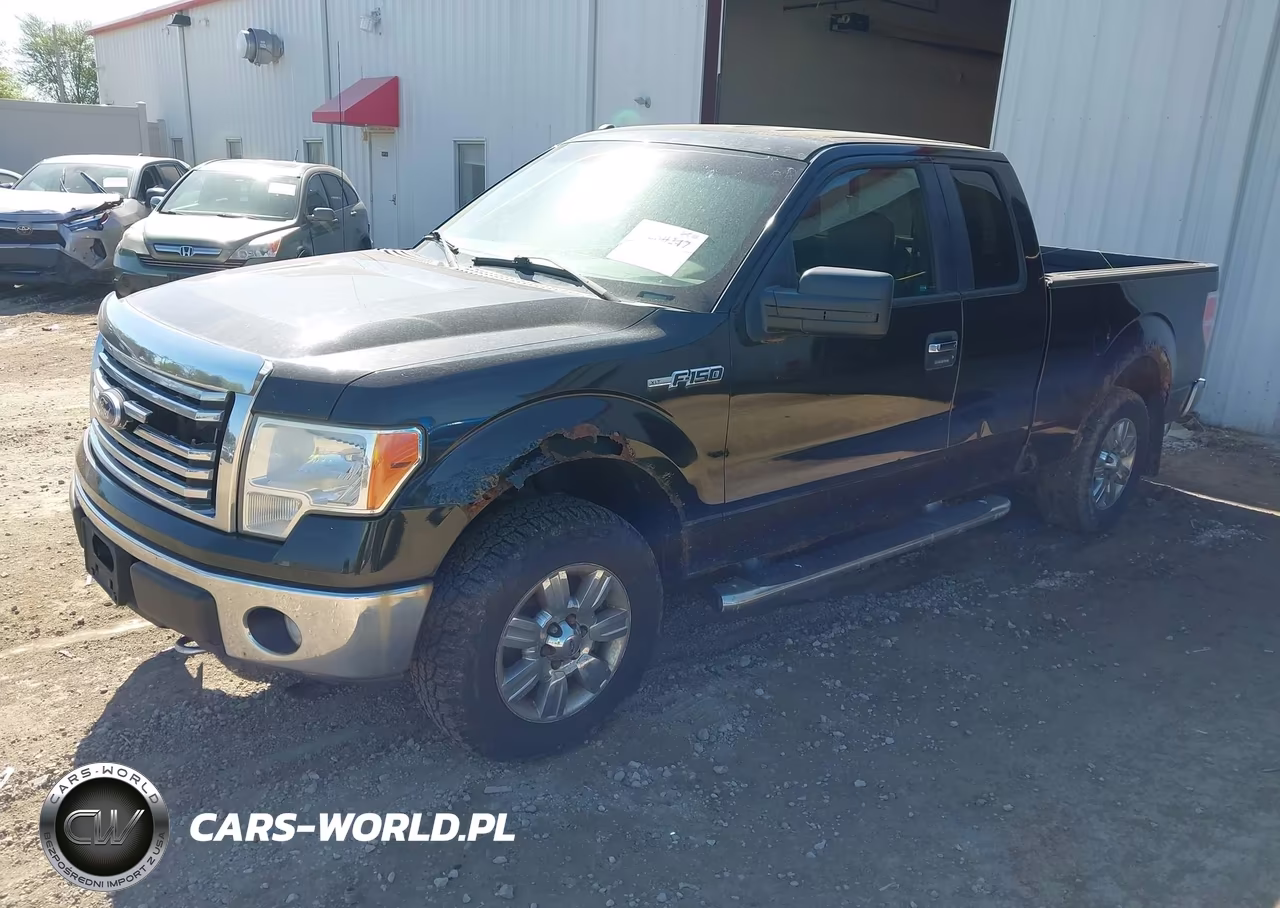 2011 Ford F-150 Xlt VIN:1FTFX1EF4BKD14993 - 2