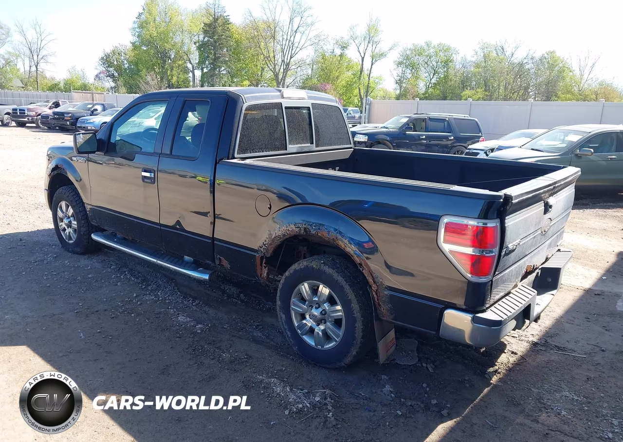 2011 Ford F-150 Xlt VIN:1FTFX1EF4BKD14993 - 3