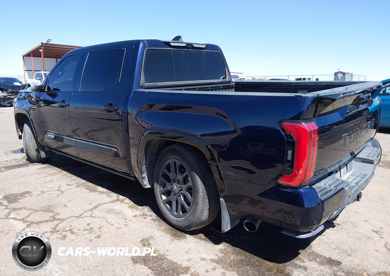 2025 Toyota Tundra Hybrid Platinum Hybrid Crewmax 5.5' Bed VIN:5TFNC5DB1SX091361 - 3