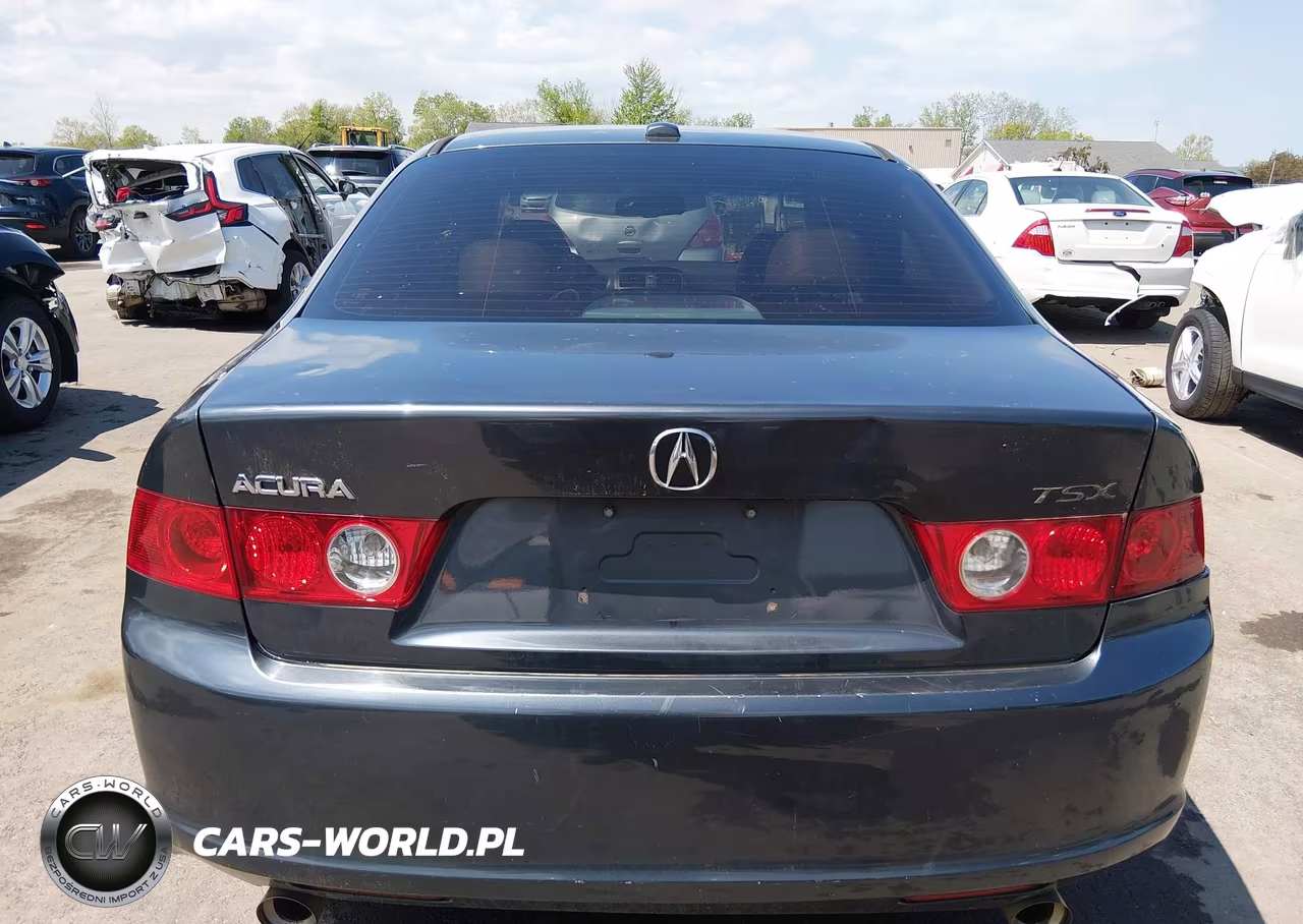2007 Acura Tsx VIN:JH4CL96877C007203 - 17