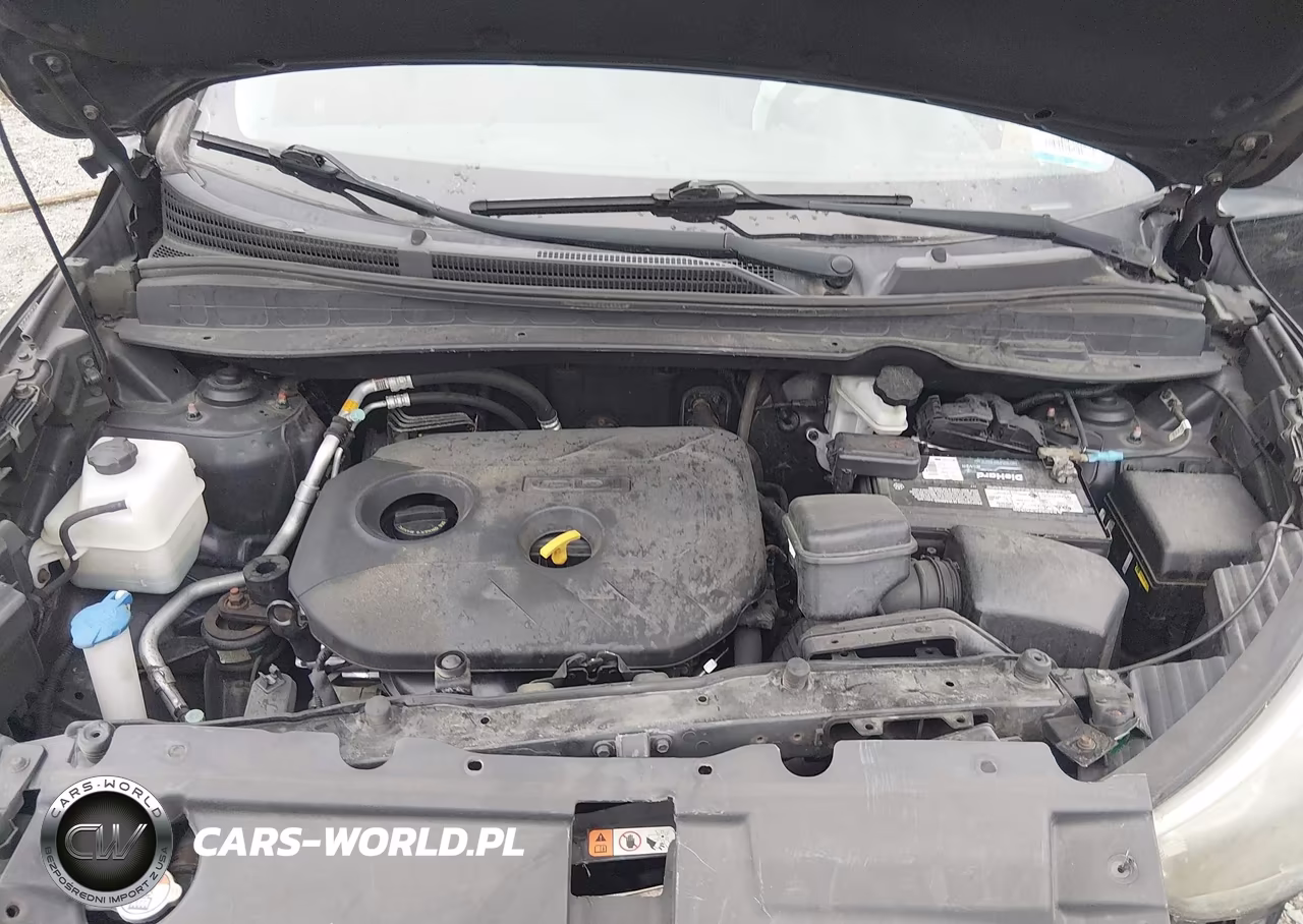 2015 Hyundai Tucson Gls VIN:KM8JTCAF1FU063167 - 10
