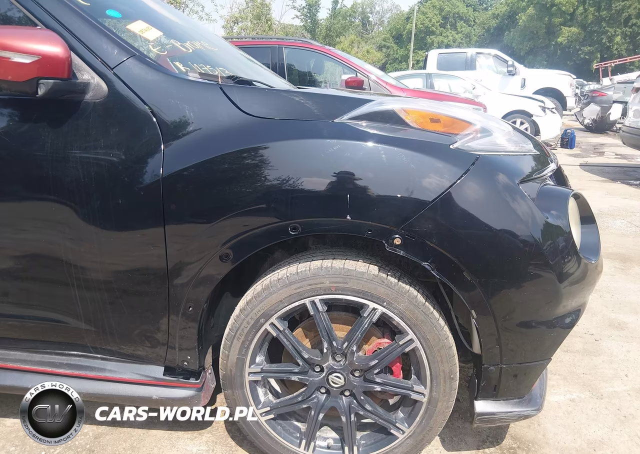 2015 Nissan Juke Nismo Rs VIN:JN8DF5MR2FT200086 - 17