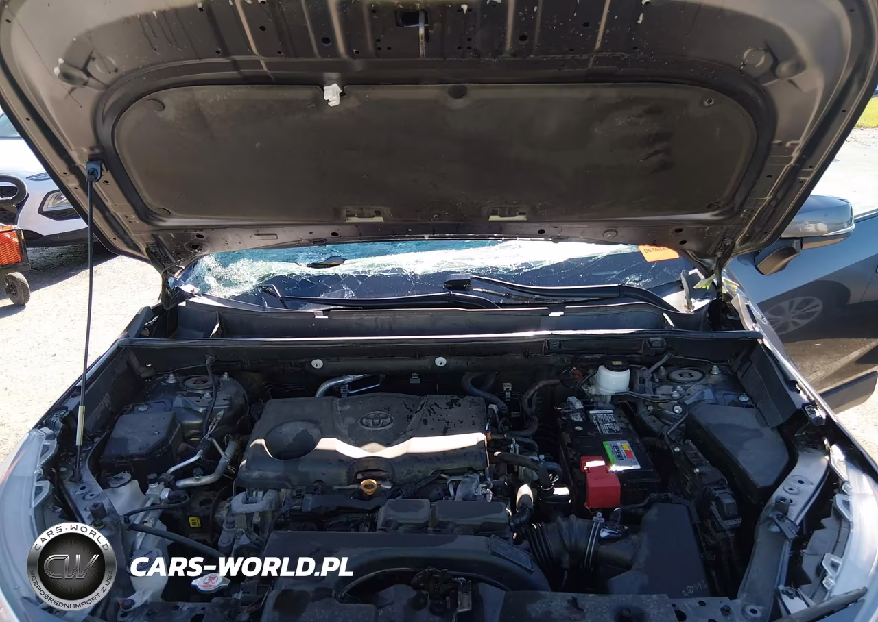 2020 Toyota Rav4 Xle VIN:2T3W1RFV9LC043980 - 10