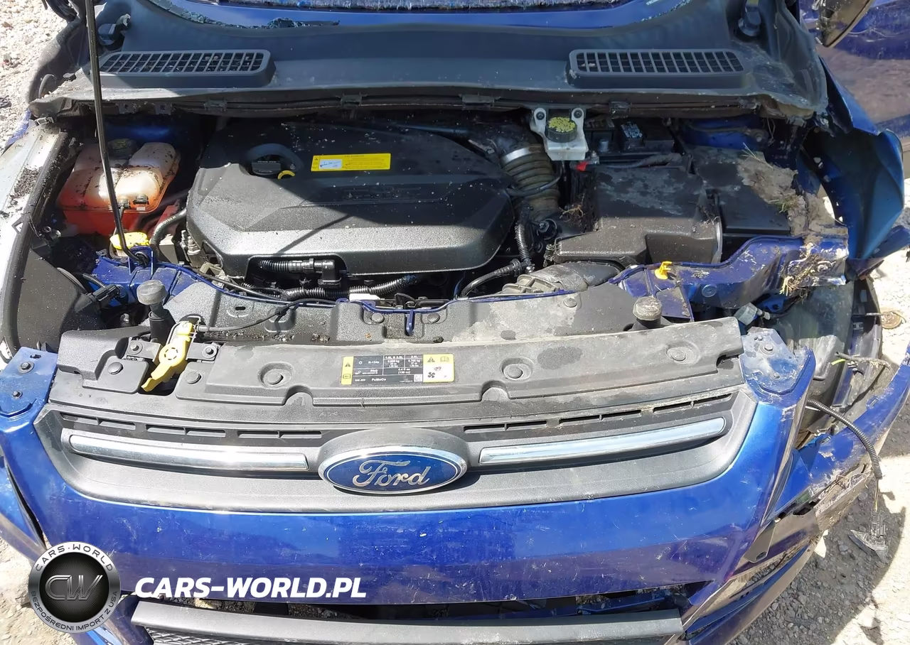 2015 Ford Escape Se VIN:1FMCU0GX9FUC64657 - 10